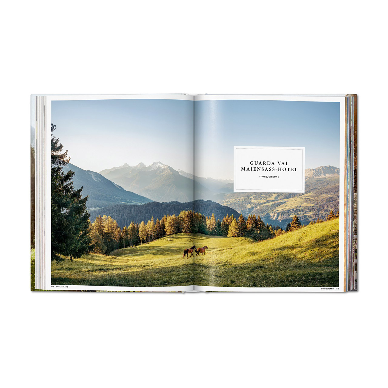 Great Escapes Alps The Hotel Book, Buch, Veröffentlichung, Baum, Gras, Draußen