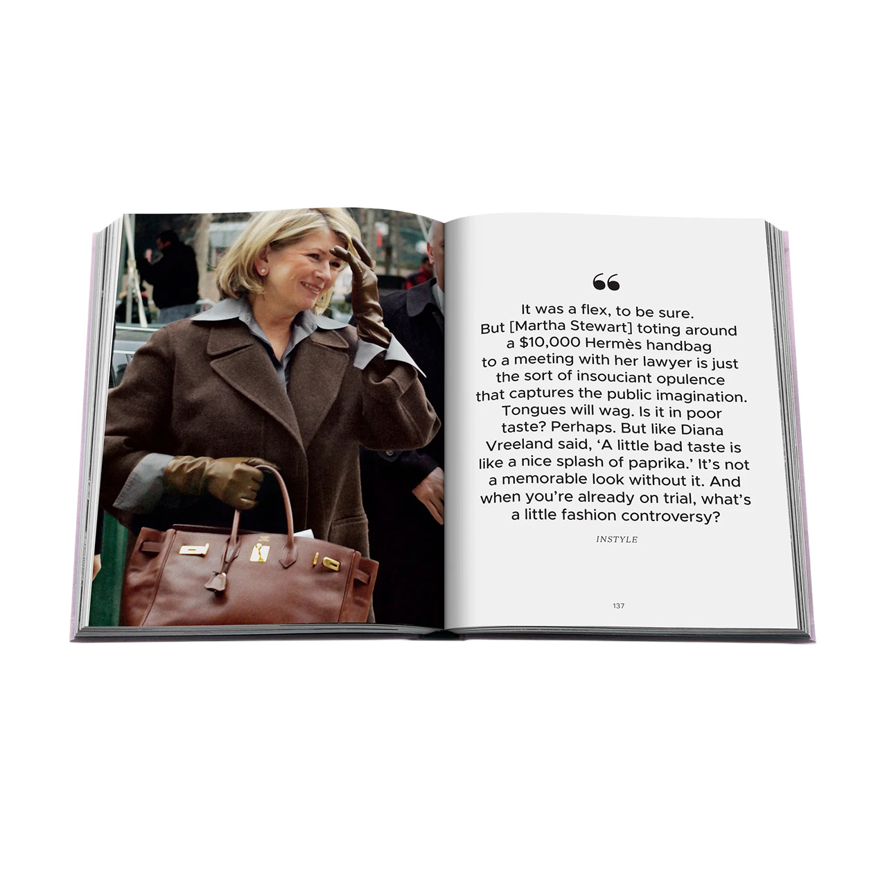 Picture Book The Book of Iconic Bags, Handtasche, Erwachsener, Weiblich, Person, Frau
