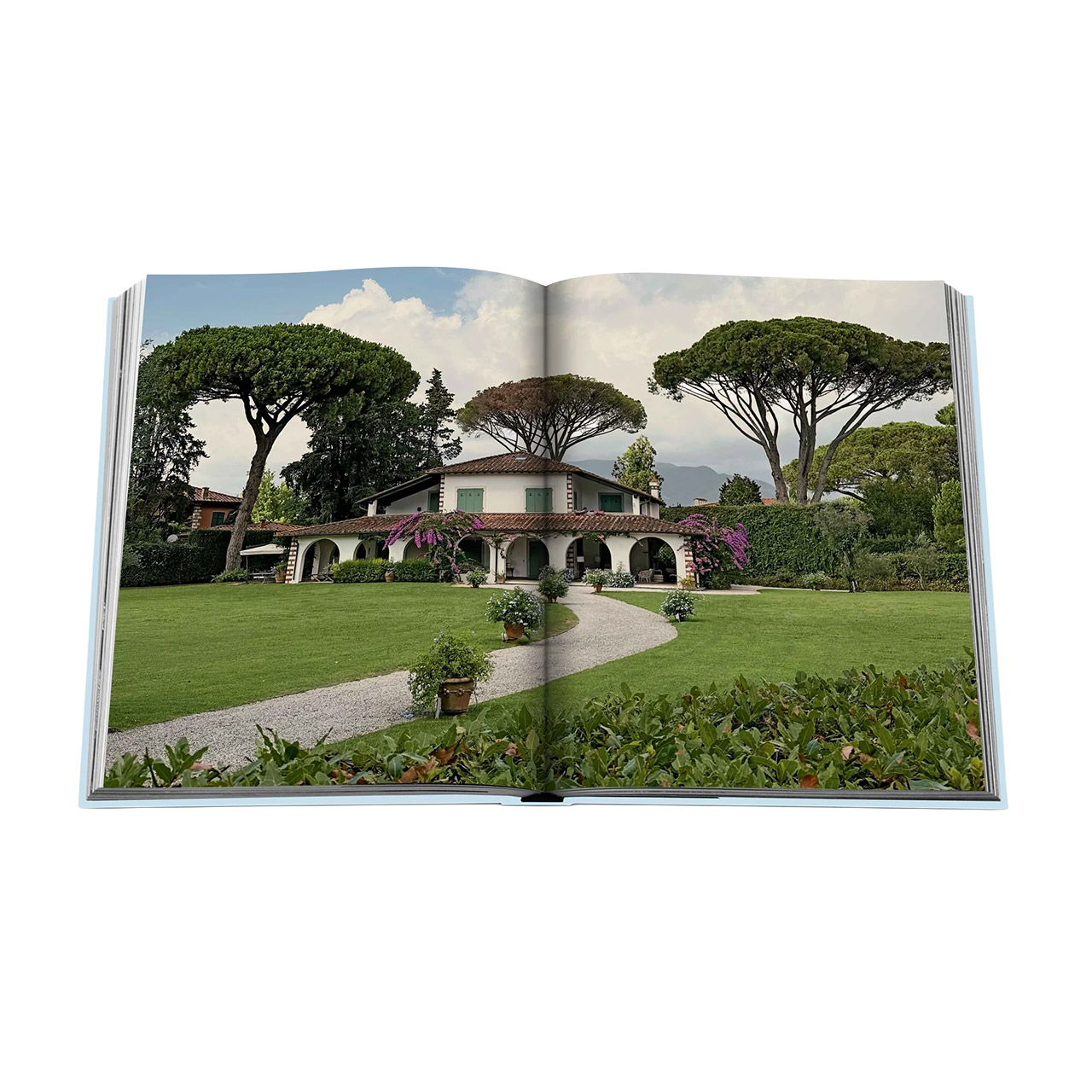 Picture Book Forte dei Marmi, Gras, Pflanze, Rasen, Baum, Villa