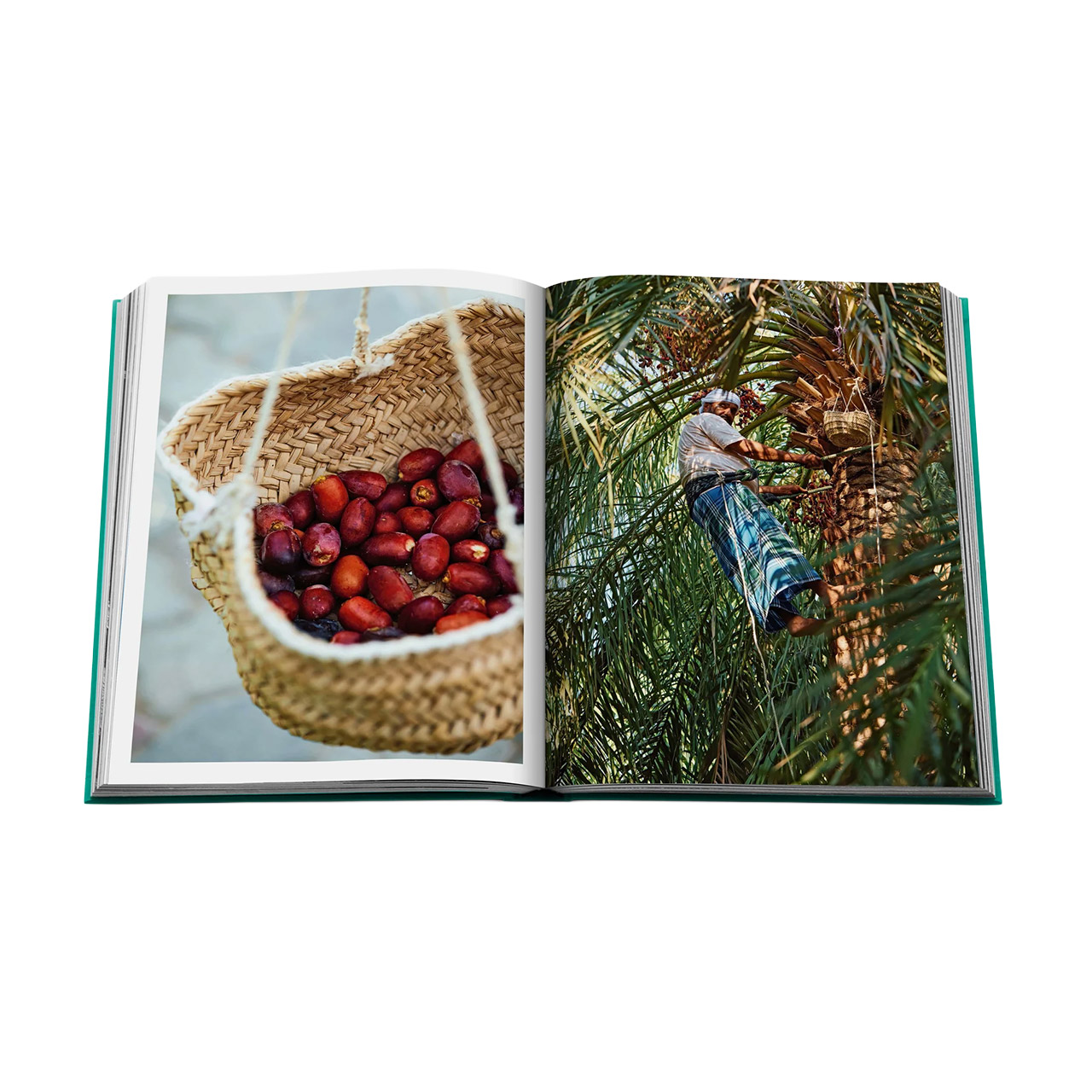 Picture Book Abu Dhabi Bright, Person