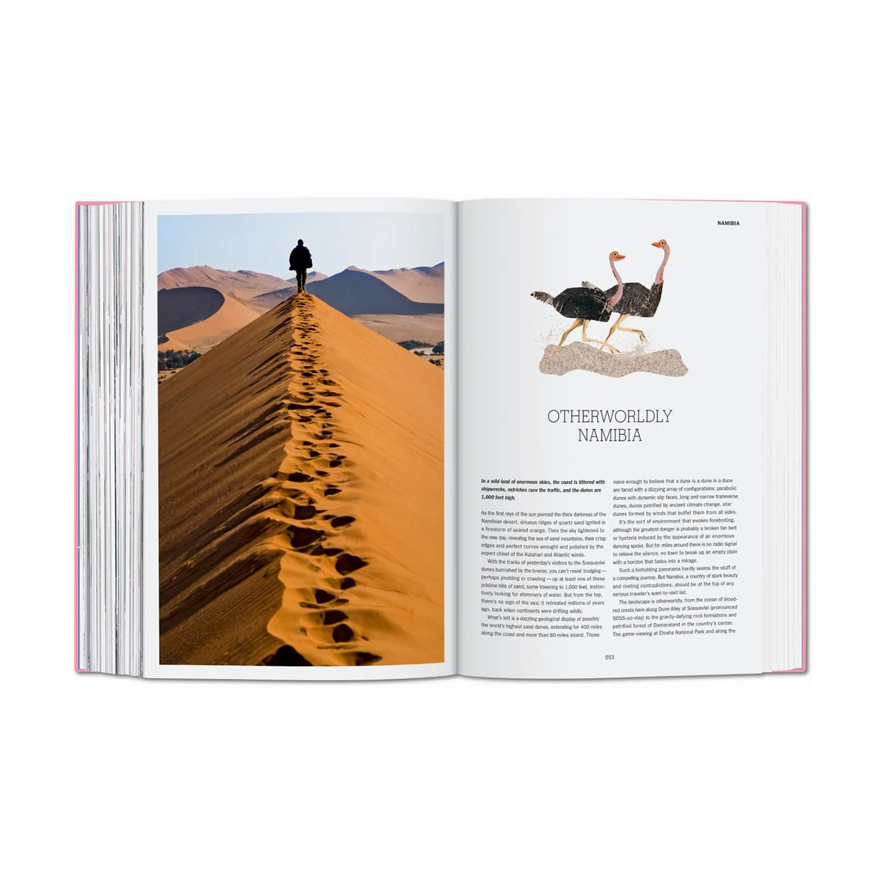 Coffee Table Book New York Times Explorer, Draußen, Person