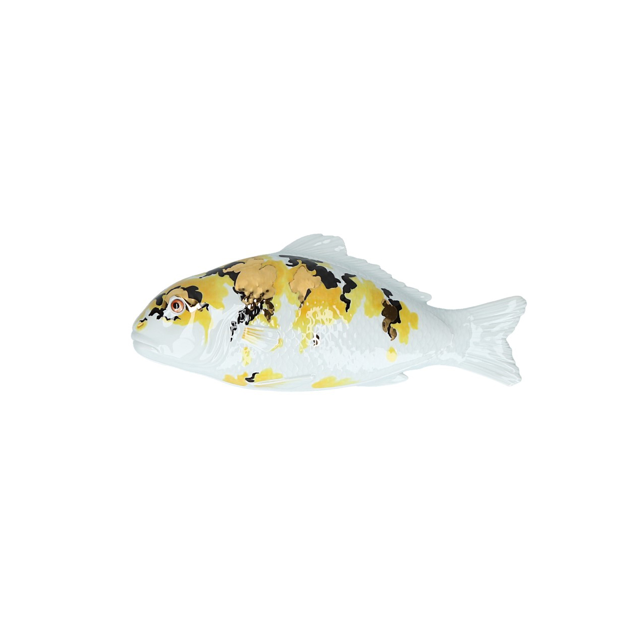 Koi carp as box, Tier, Fische, Leben im Meer, Karpfen