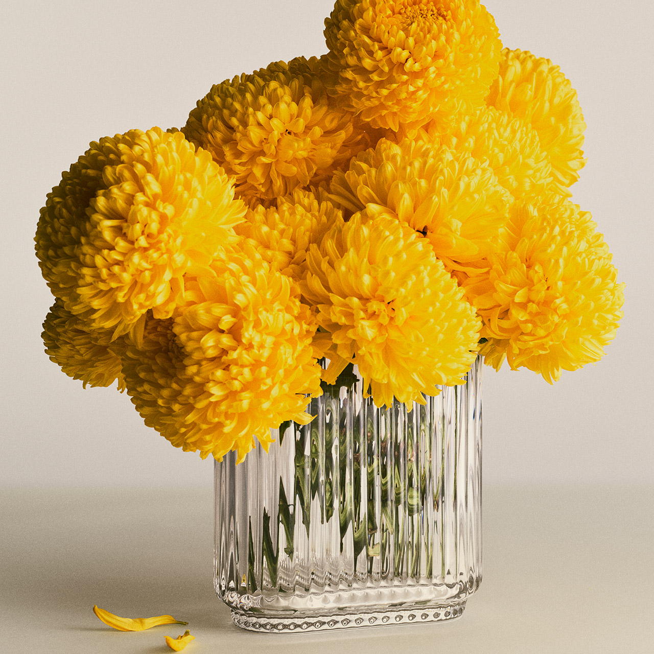 Vase 16 cm clear, Blume, Blumen-Arrangement, Töpferei, Blumenstrauß, Vase