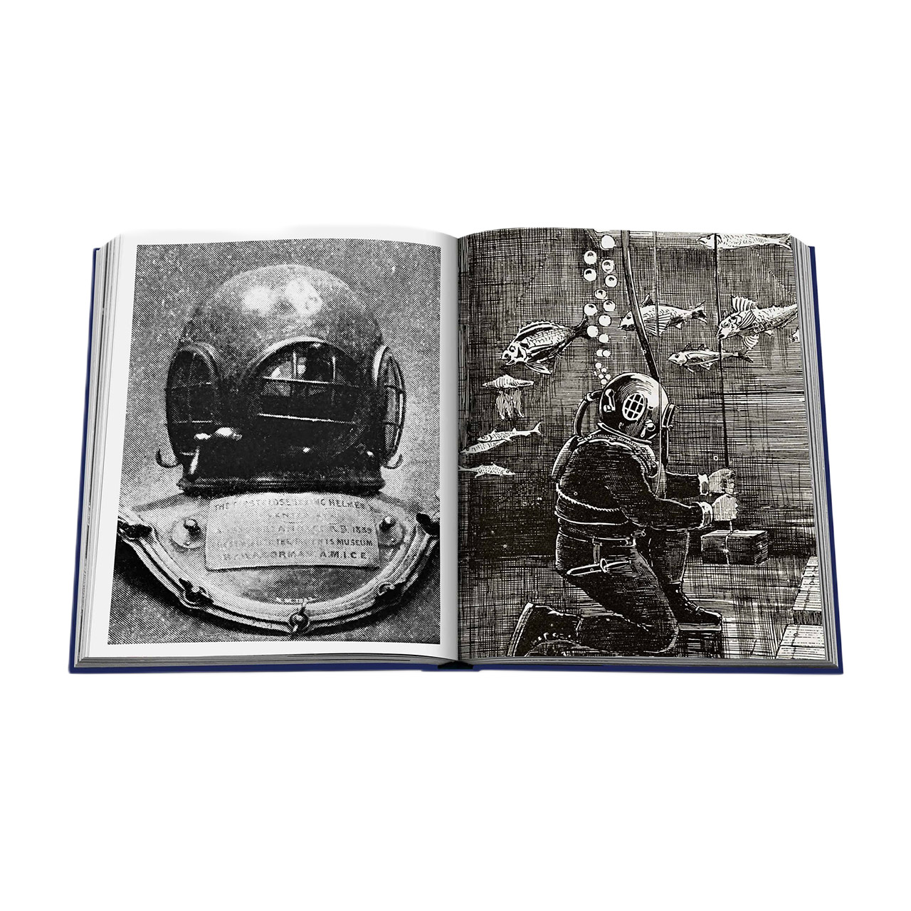 Picture Book Ocean Wanderlust, Buch, Helm, Erwachsener, Mann, Person