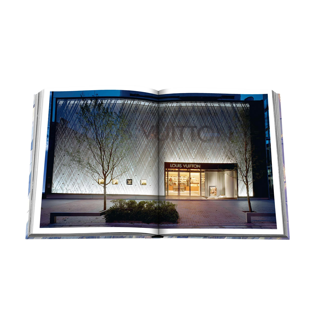 Picture Book Louis Vuitton Skin: Architecture of Luxury (Singapore Edition), Innenarchitektur, Unterschlupf, Tür, Fenster, Stadt