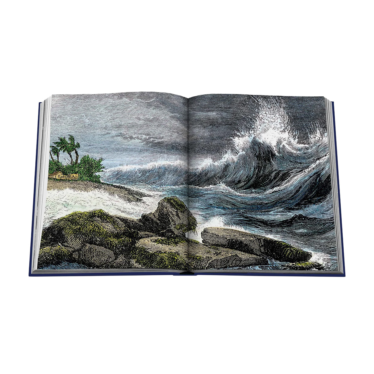 Picture Book Ocean Wanderlust, Buch, Veröffentlichung, Draußen, Meer, Wasser