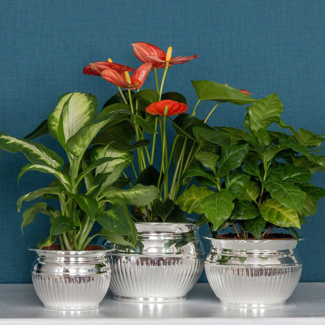 Flower pot Queen Anne large silver-plated