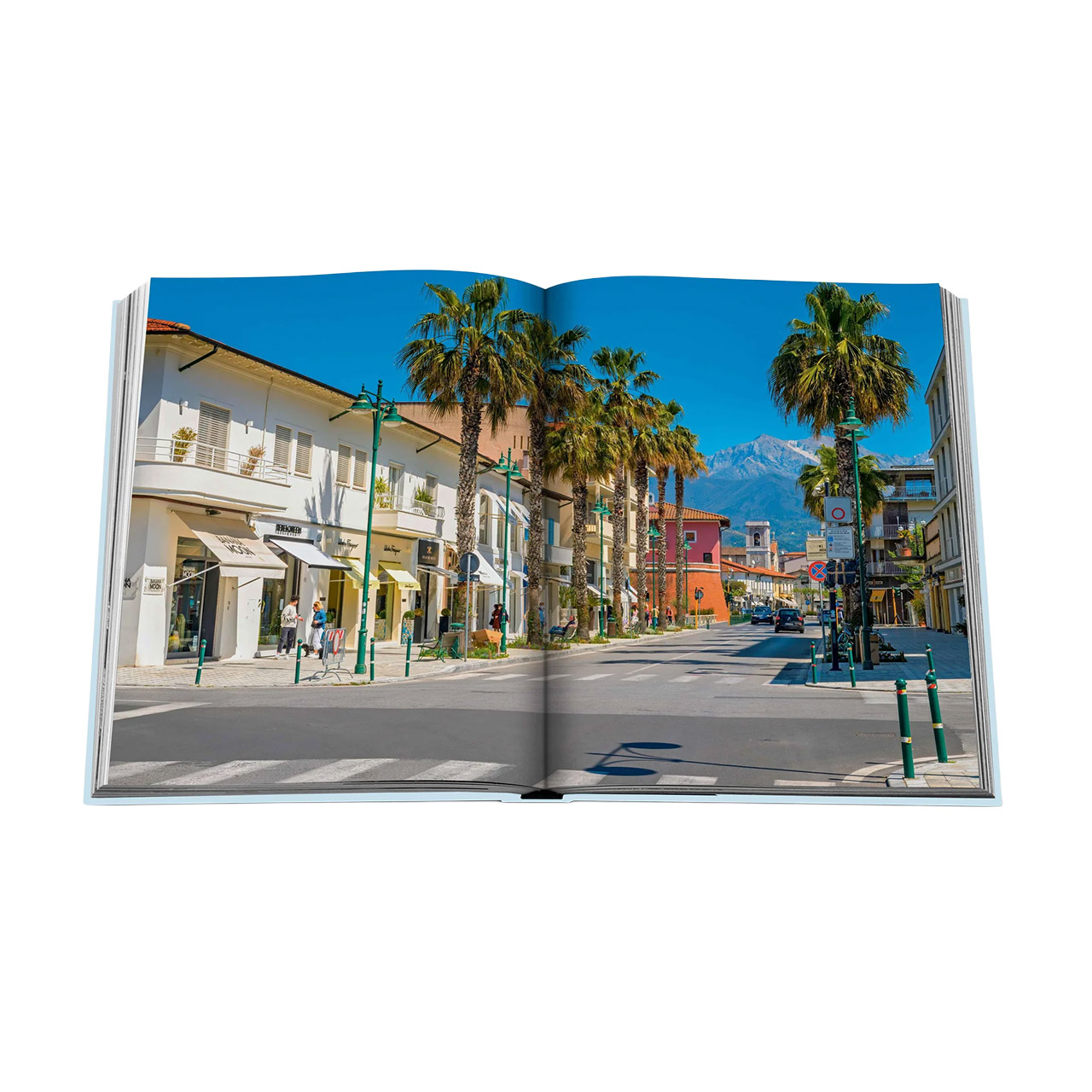 Picture Book Forte dei Marmi, Baum, Stadt, Straße, Nachbarschaft, Palme