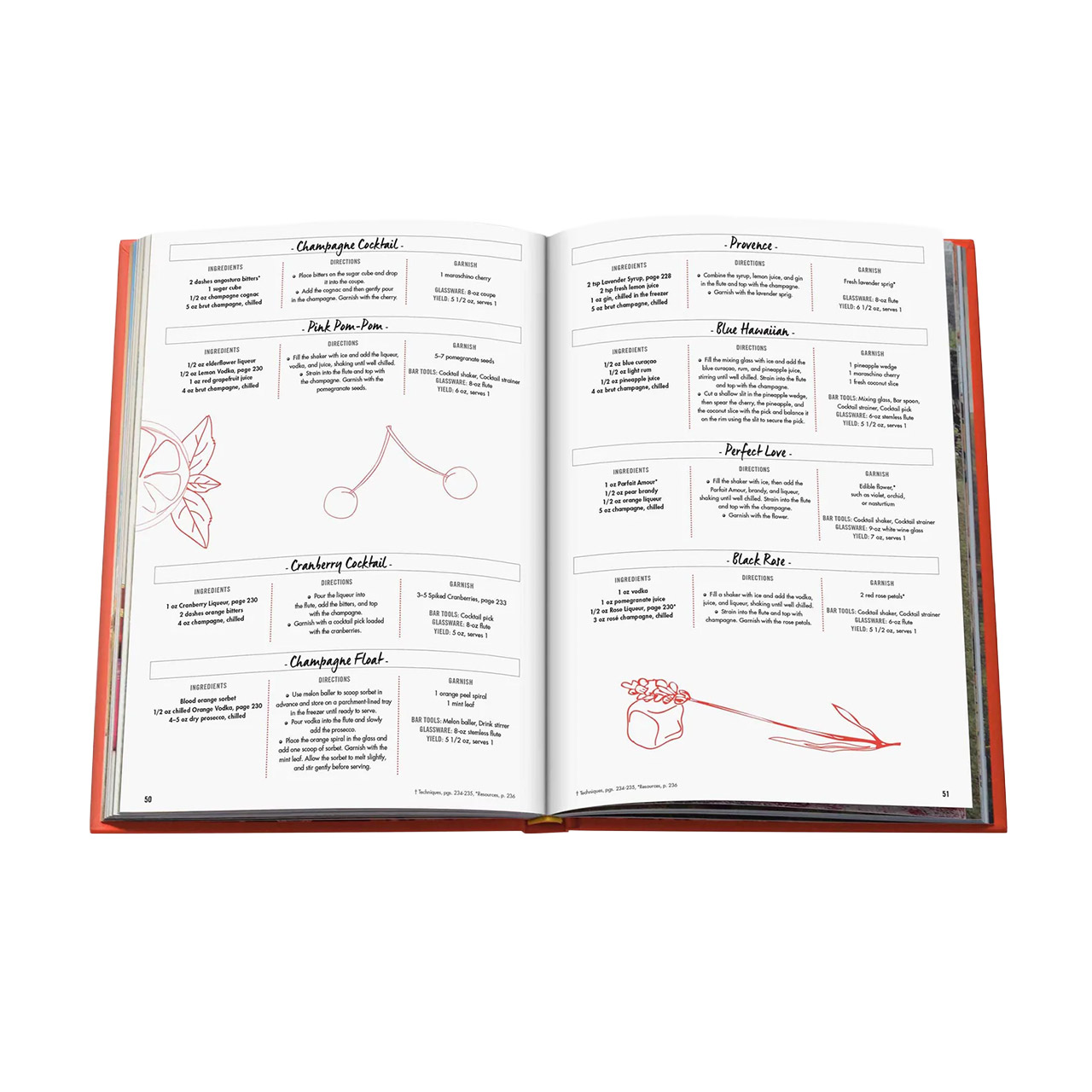 Picture Book Cocktail Chameleon, Seite, Text, Buch, Veröffentlichung