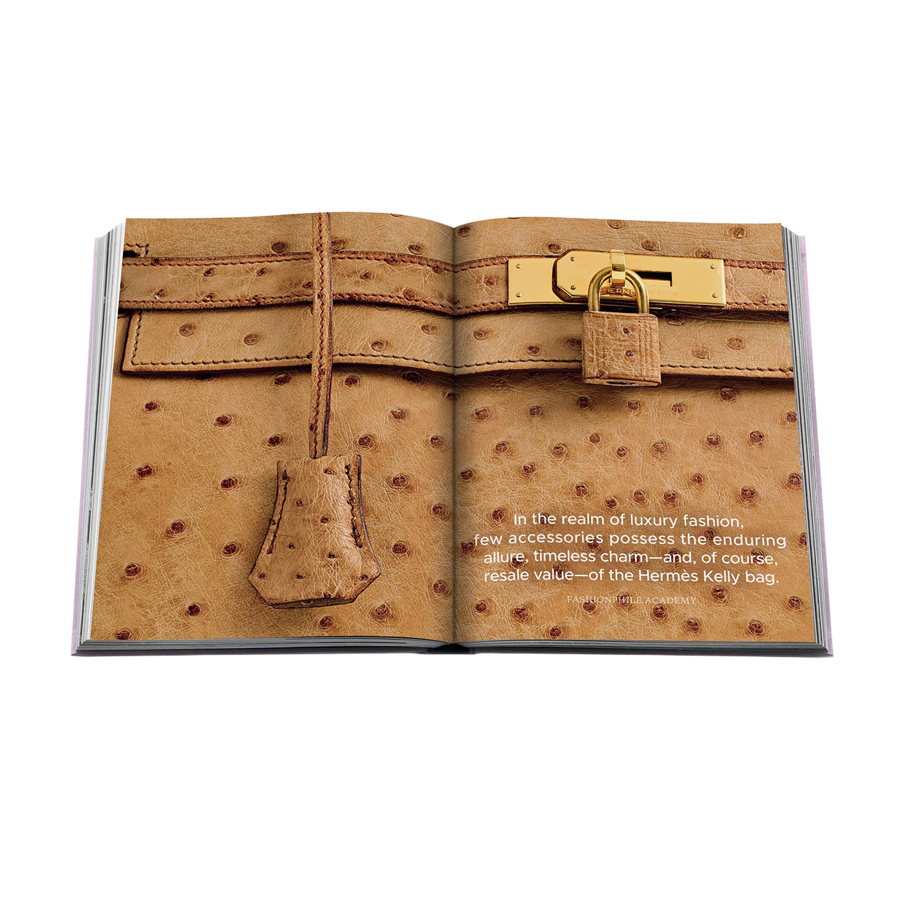 Picture Book The Book of Iconic Bags, Zubehor
