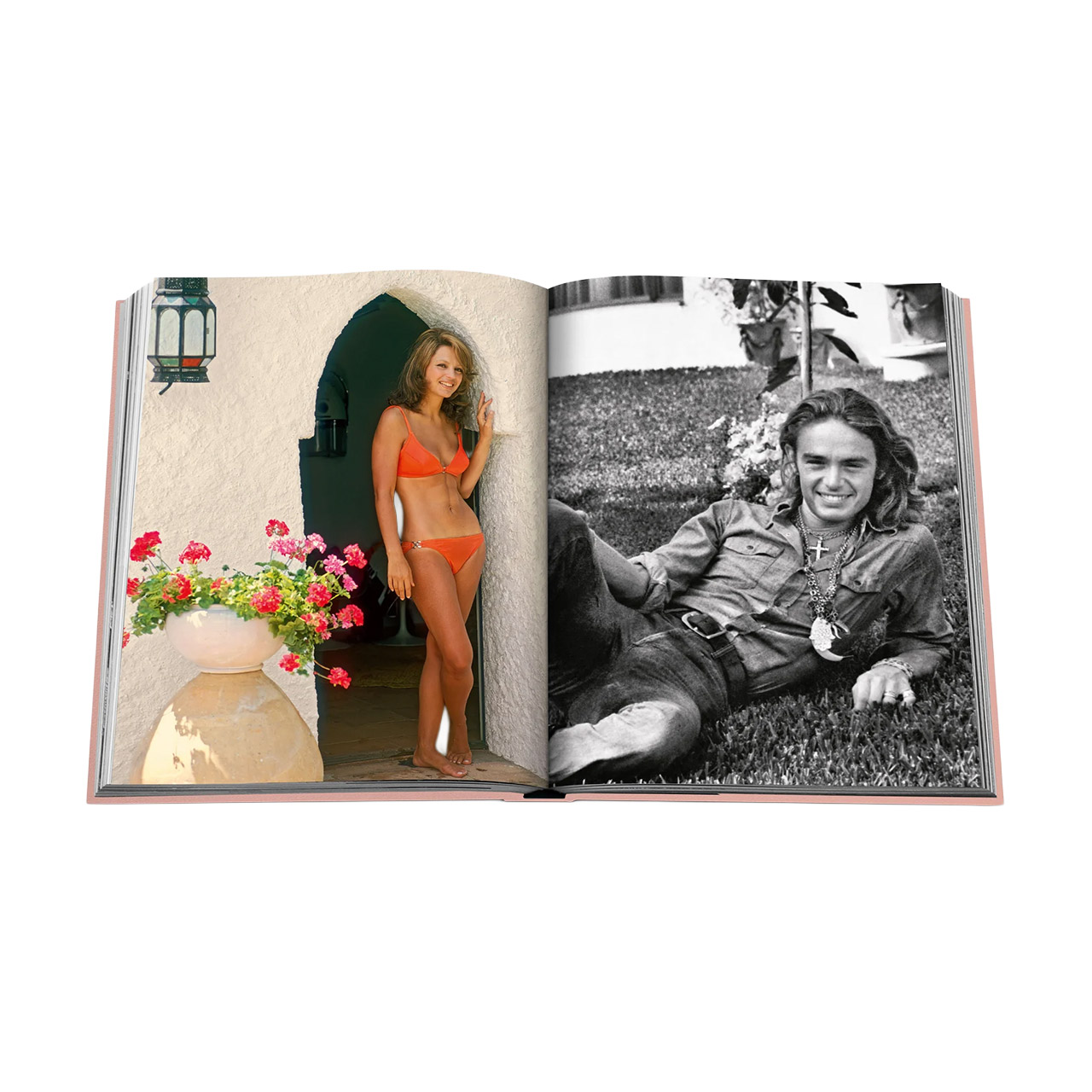 Picture Book Marbella Sol, Topfpflanze, Blumen-Arrangement, Blumenstrauß, Photographie, Portrait