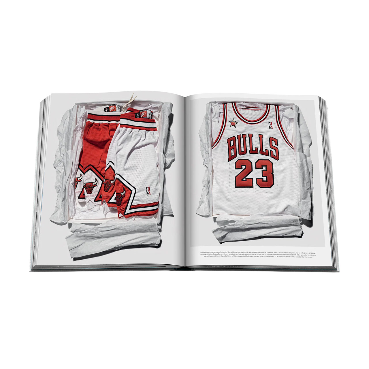 Picture Book Air Jordan, Bekleidung, Hemd, T-shirt, Kurze Hosen