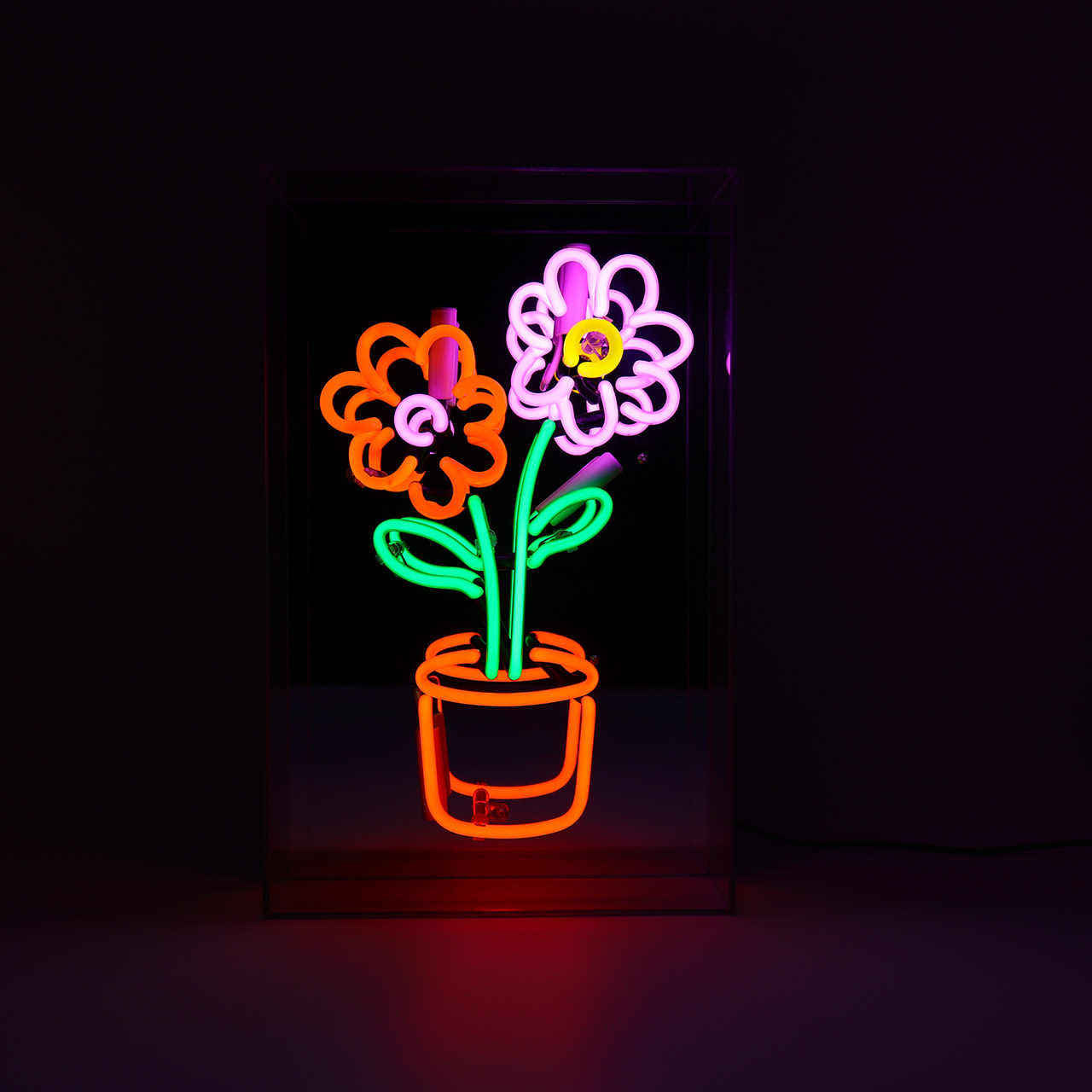 Neon Box Sign - Flowers in Pot, Licht, Neon