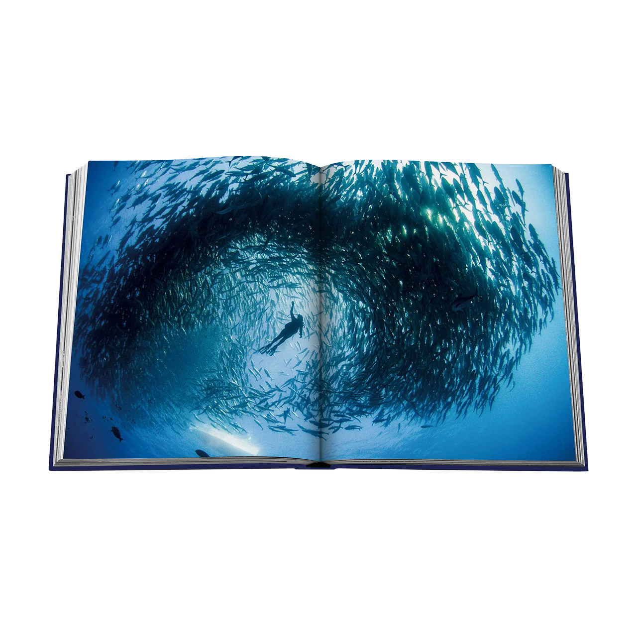 Picture Book Ocean Wanderlust, Elektronik, Bildschirm, Computer-Hardware, Überwachen, Malerei