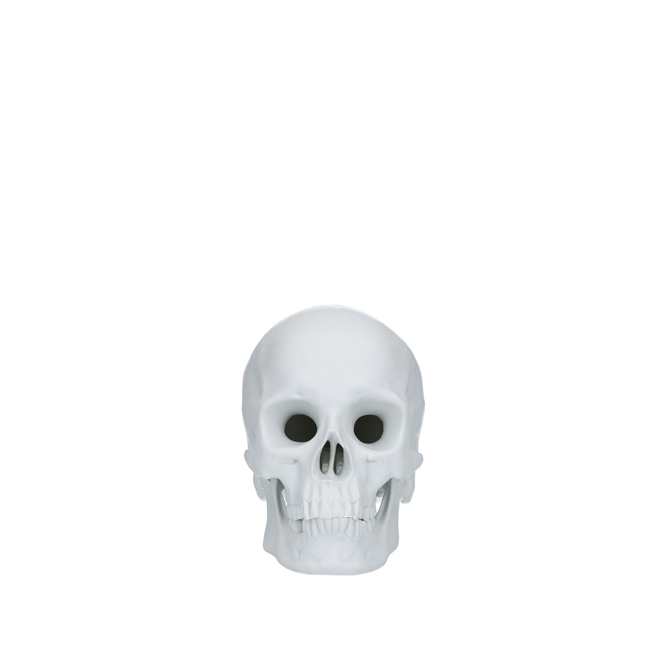 Totenkopf groß Nr. 2225, weiss biskuit