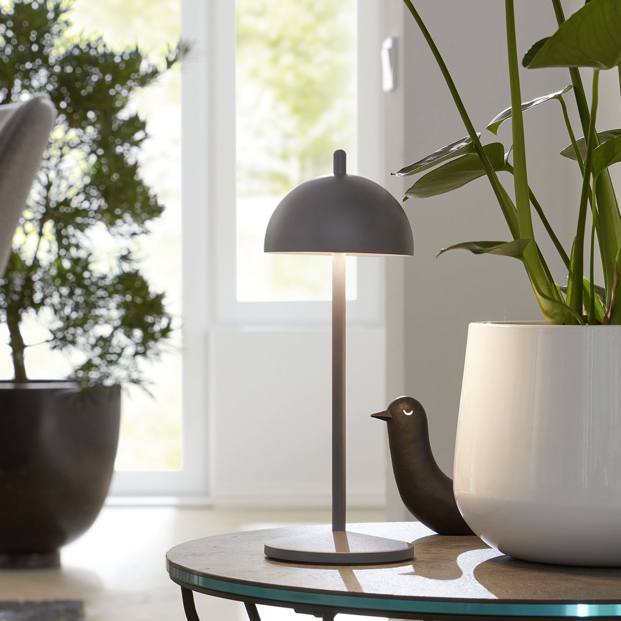 Table lamp LED 30 cm dimmable anthracite, Lampe, Pflanze