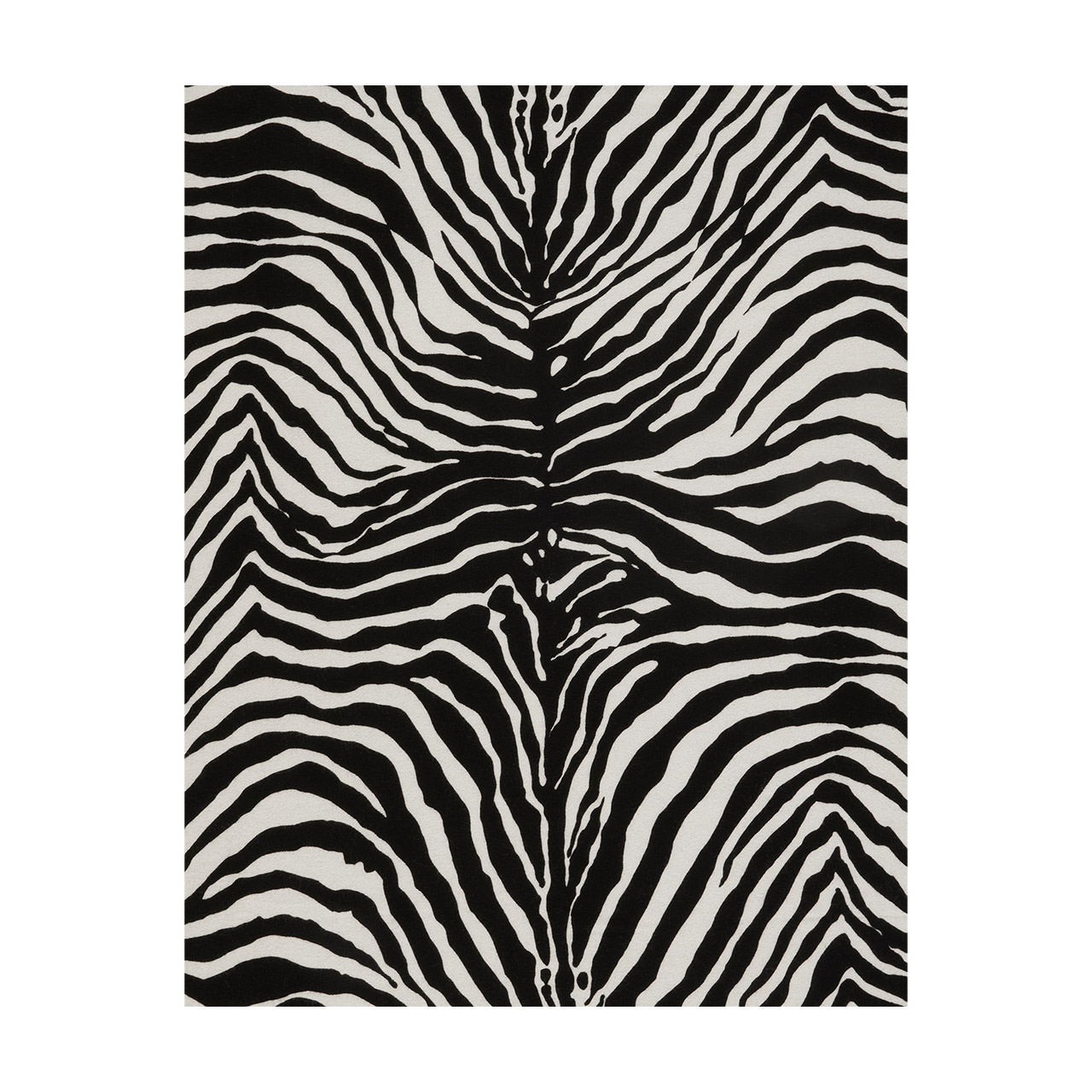 Plaid 140x180 cm, Dekoration für Zuhause, Teppich, Säugetier, Tierwelt, Zebra