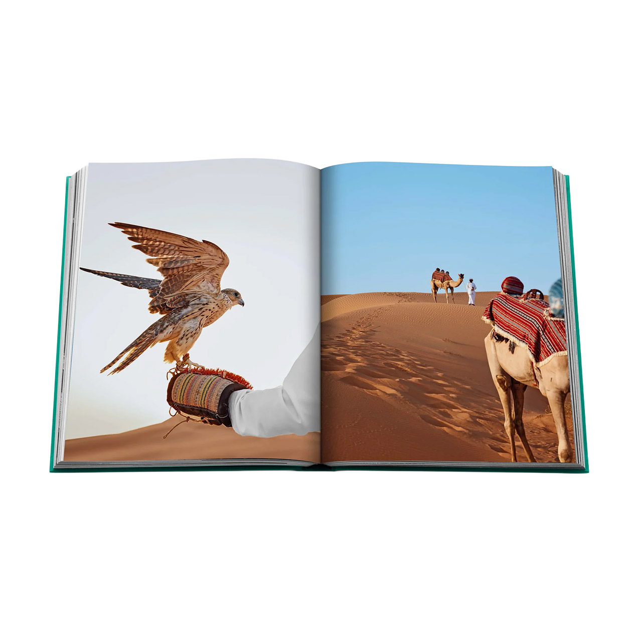 Picture Book Abu Dhabi Bright, Buch, Person, Vogel, Schnabel, Drache, Vogel