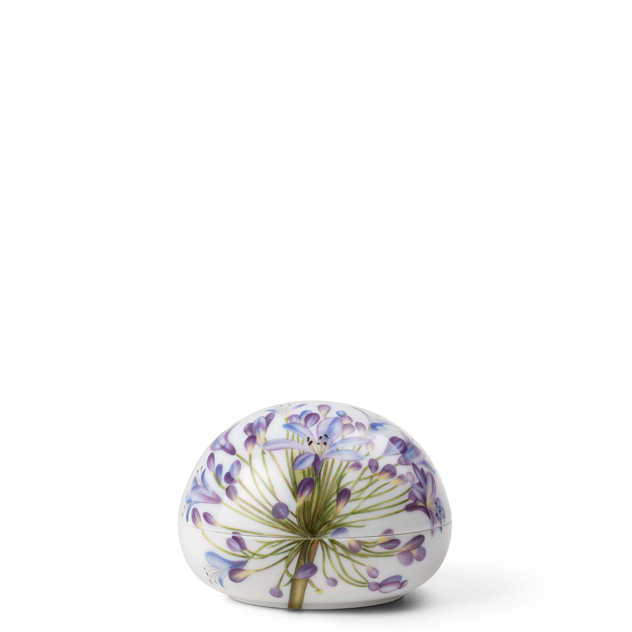 Bonbonniere Agapanthus