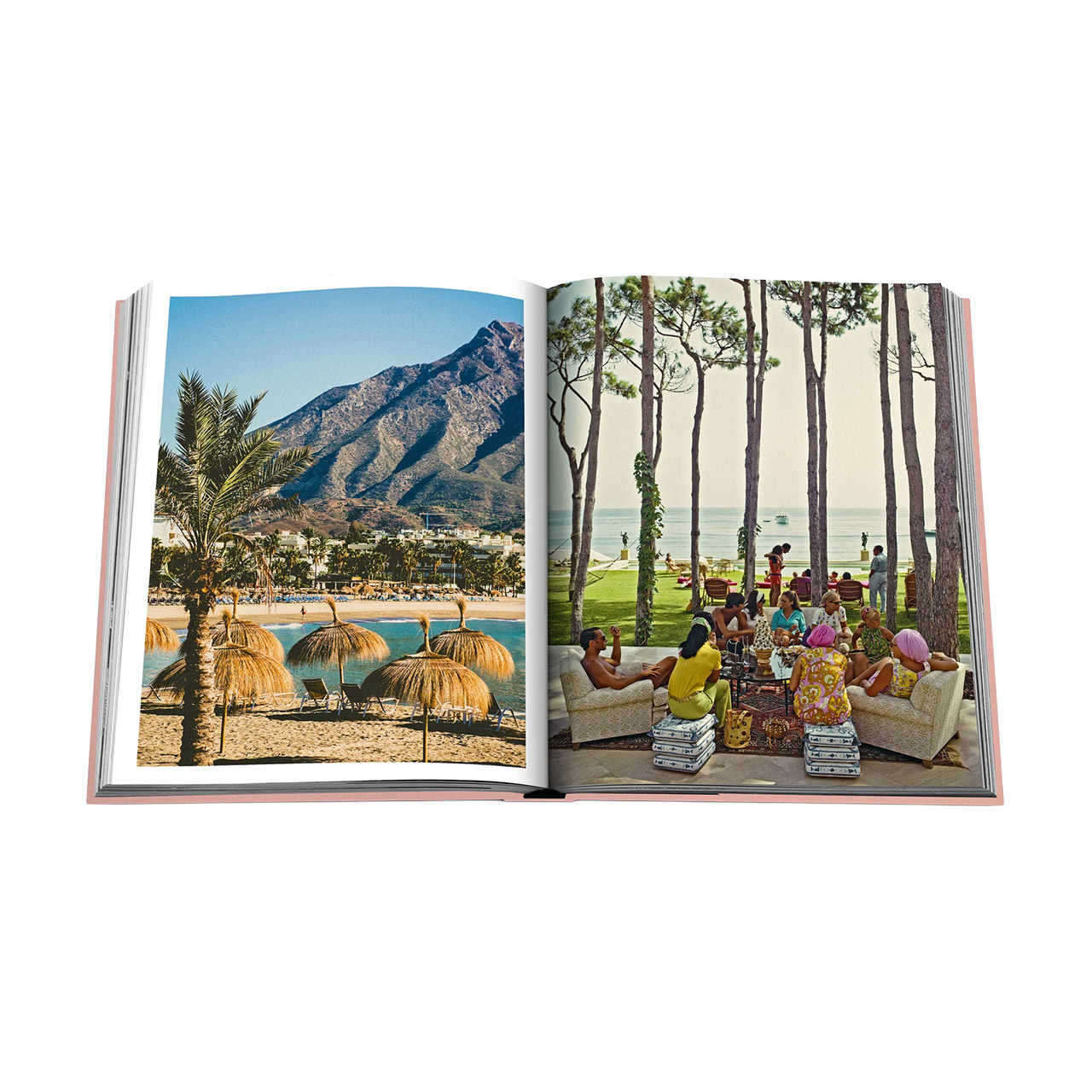 Picture Book Marbella Sol, Sommer, Baum, Buch, Topfpflanze, Boden