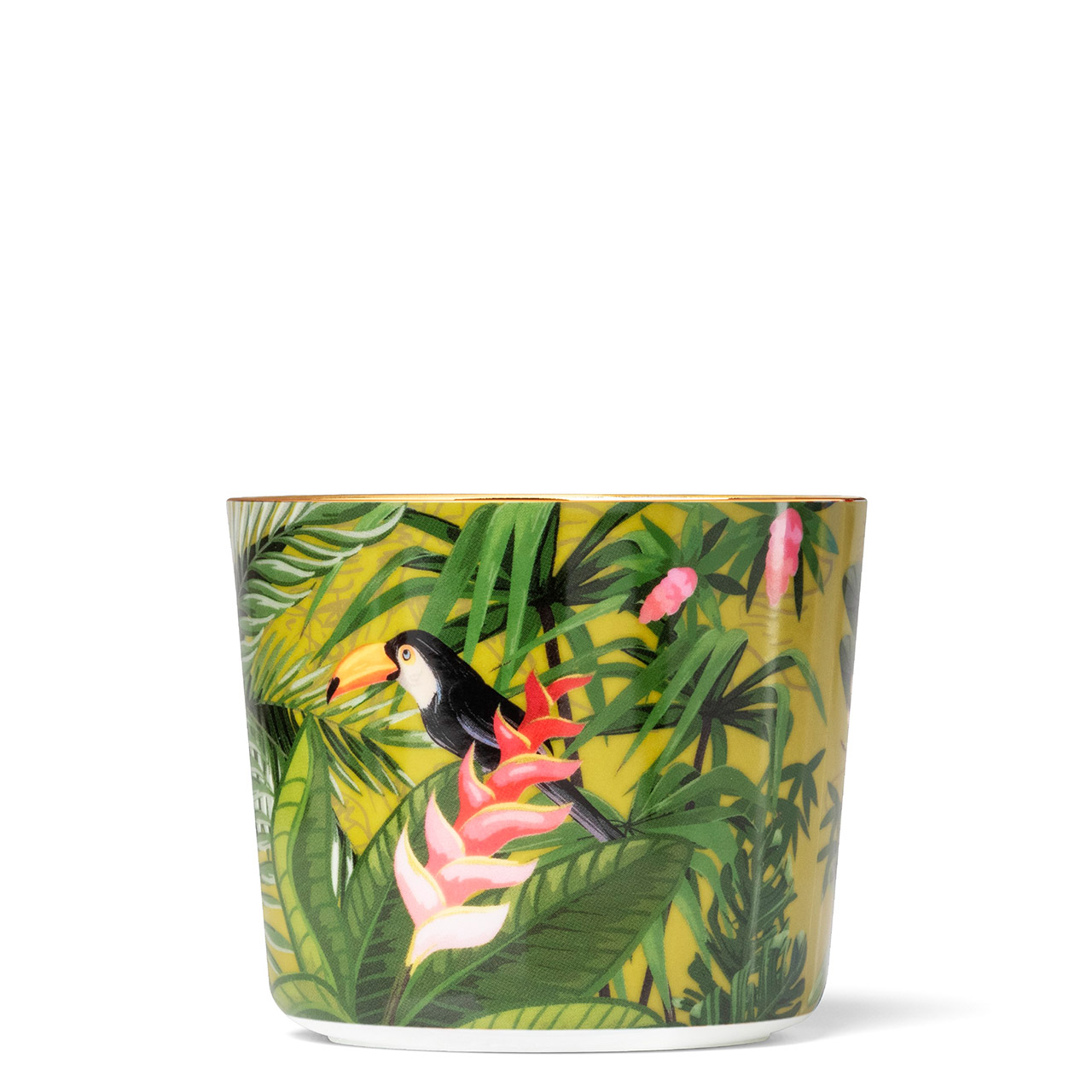 Champagne goblet Paraiso Jungle, Tier, Vogel, Töpferei, Pflanze