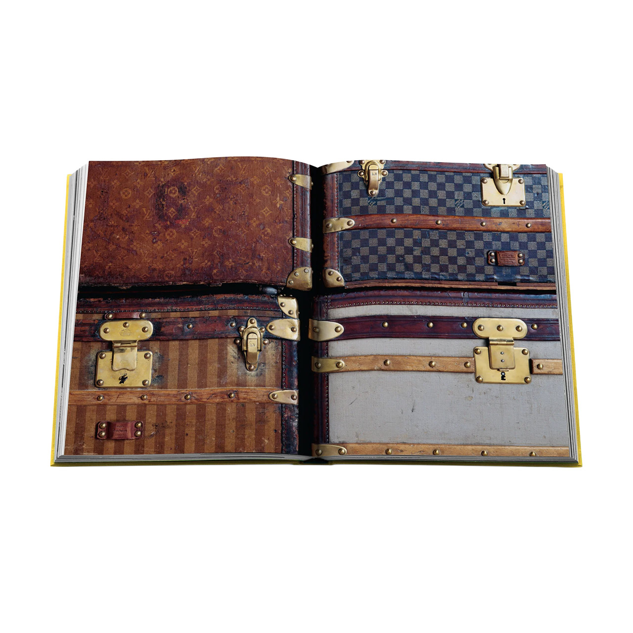 Picture Book From Louis to Vuitton, Gepäck