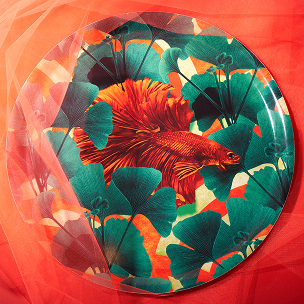 Tray 38 cm Orangino, Essen, Mahlzeit, Gericht, Blatt, Pflanze