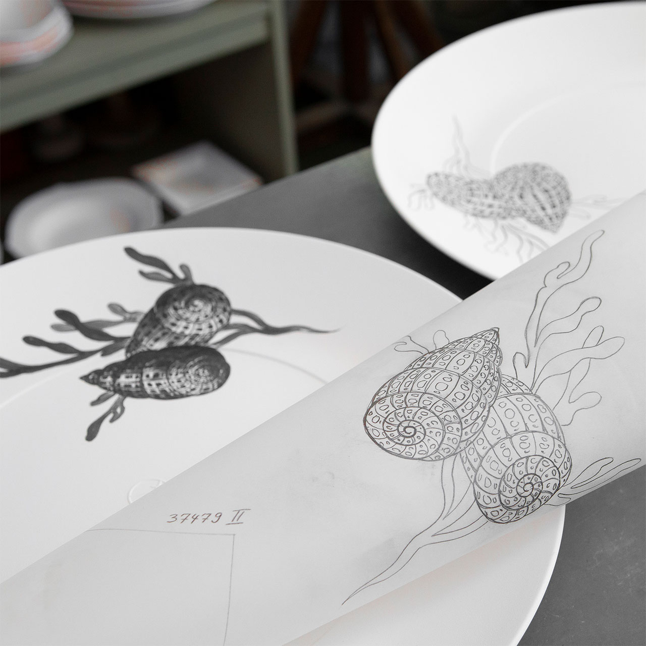 Dinner plate 30 cm motif shell, Essen, Mahlzeit, Gericht, Kunst, Teller