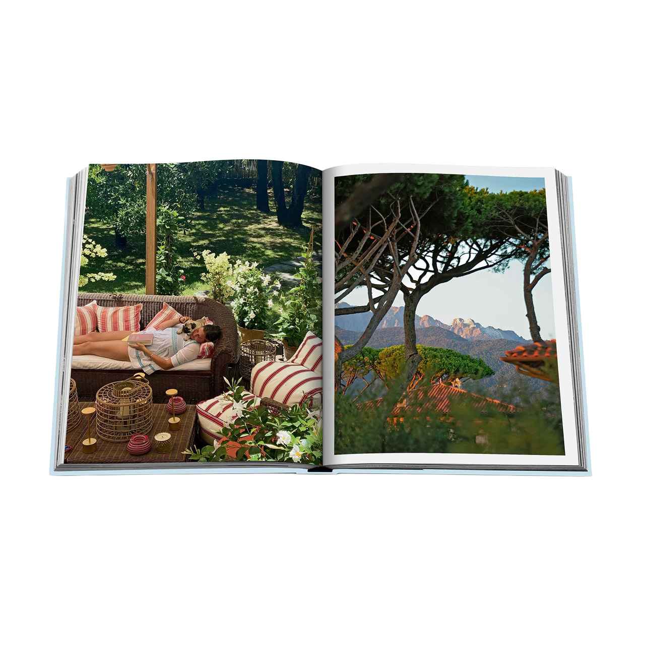 Picture Book Forte dei Marmi, Kissen, Dekoration für Zuhause, Pflanze im Topf, Baum, Couch