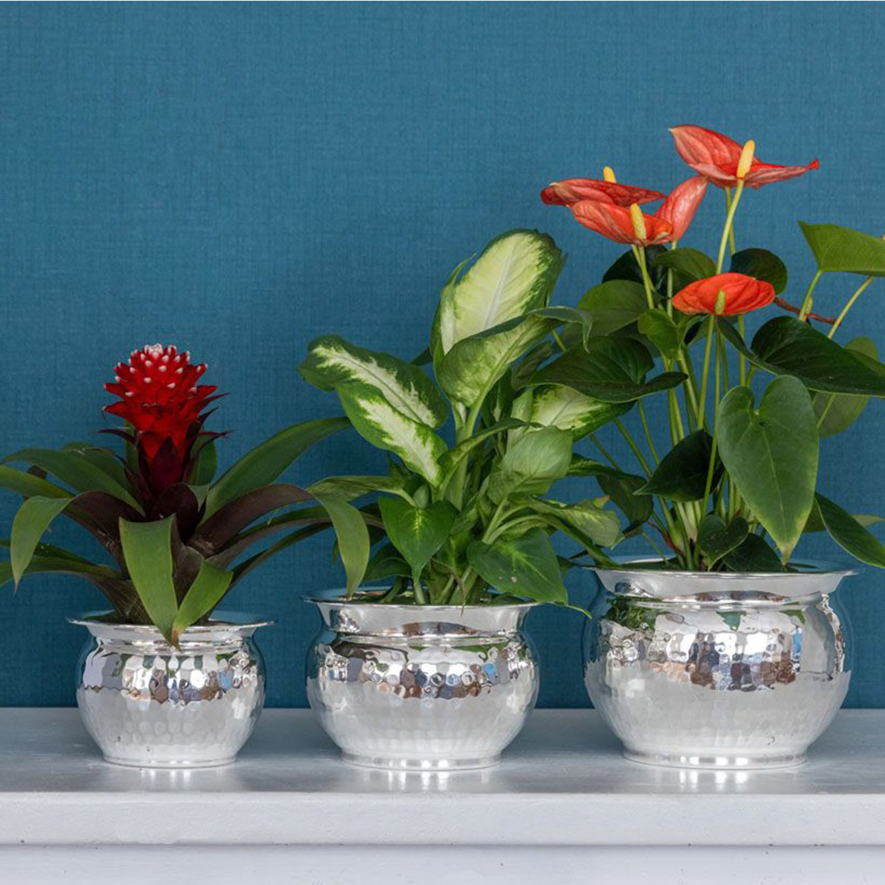 Flower pot medium hammered silver-plated, Pflanze, Blume, Topfpflanze, Blumen-Arrangement